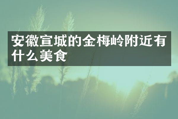 安徽宣城的金梅岭附近有什么美食