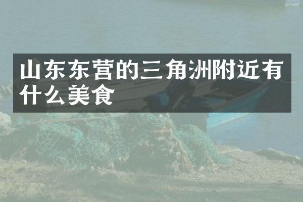 山东东营的三角洲附近有什么美食