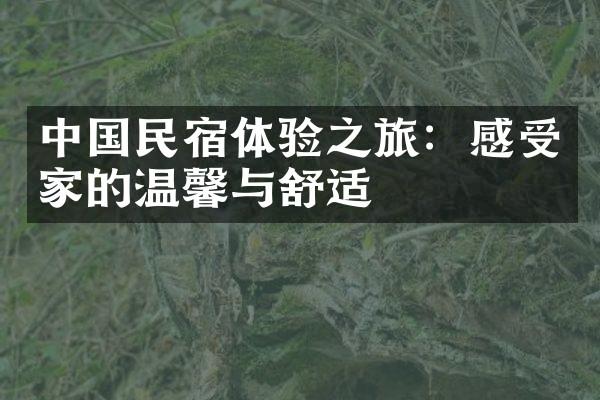 中国民宿体验之旅：感受家的温馨与舒适