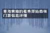 青海黄南的麦秀原始森林门票信息详情