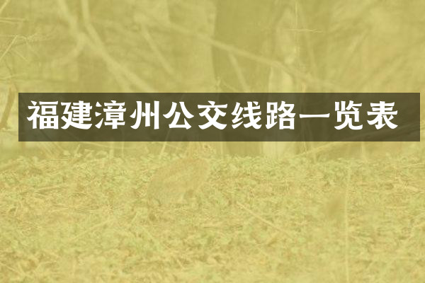 福建漳州公交线路一览表