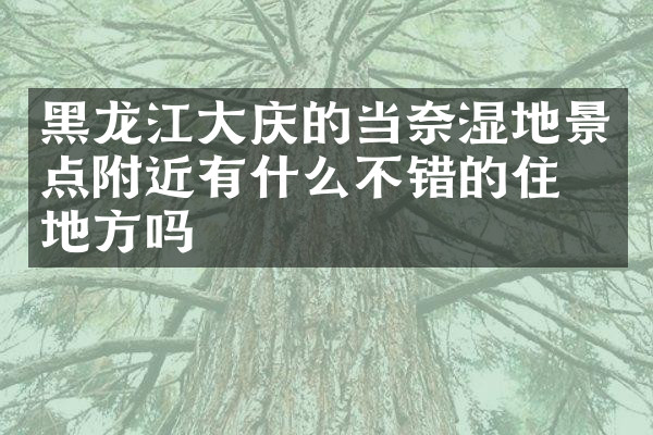 黑龙江大庆的当奈湿地景点附近有什么不错的住的地方吗
