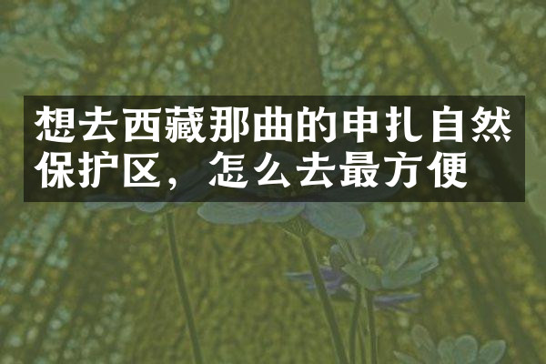 想去西藏那曲的申扎自然保护区，怎么去最方便