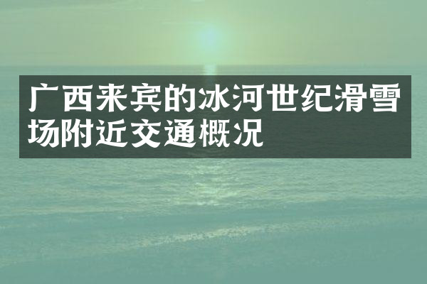 广西来宾的冰河世纪滑雪场附近交通概况
