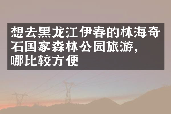 想去黑龙江伊春的林海奇石国家森林公园旅游，住哪比较方便