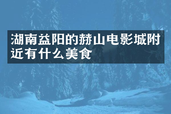湖南益阳的赫山电影城附近有什么美食