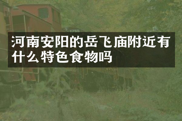 河南安阳的岳飞庙附近有什么特色食物吗