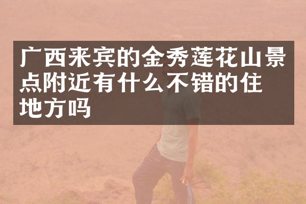 广西来宾的金秀莲花山景点附近有什么不错的住的地方吗