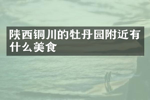 陕西铜川的牡丹园附近有什么美食