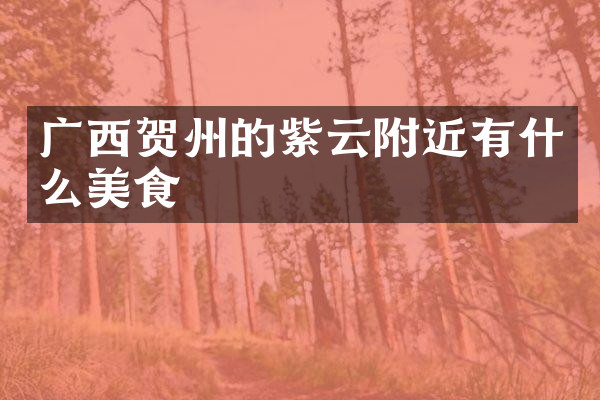 广西贺州的紫云附近有什么美食
