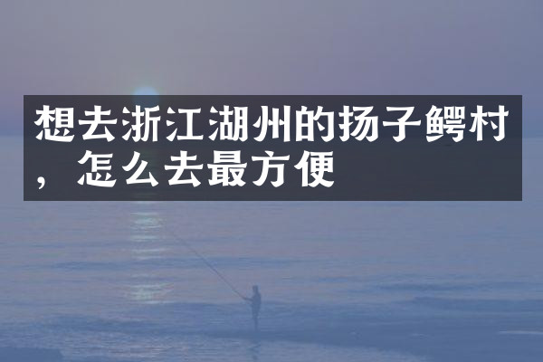 想去浙江湖州的扬子鳄村，怎么去最方便