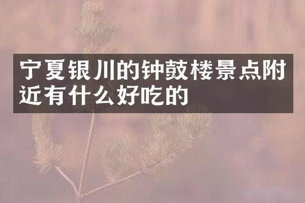 宁夏银川的钟鼓楼景点附近有什么好吃的