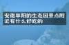 安徽阜阳的生态园景点附近有什么好吃的