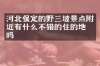 河北保定的野三坡景点附近有什么不错的住的地方吗