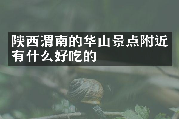 陕西渭南的华山景点附近有什么好吃的