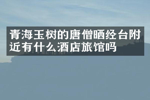 青海玉树的唐僧晒经台附近有什么酒店旅馆吗