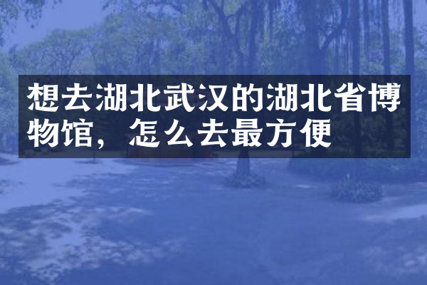 想去湖北武汉的湖北省博物馆，怎么去最方便