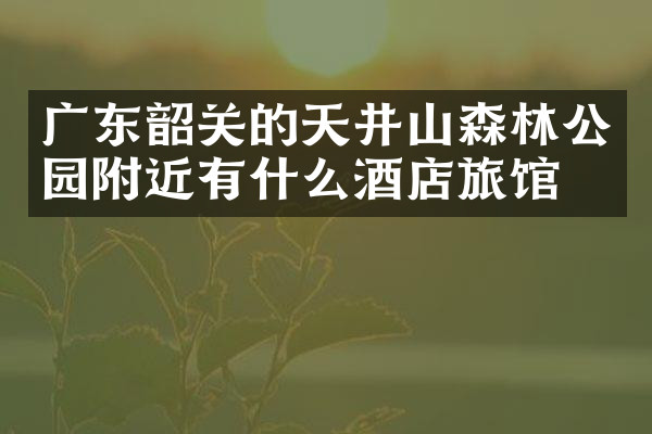 广东韶关的天井山森林公园附近有什么酒店旅馆吗