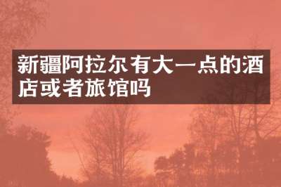 新疆阿拉尔有大一点的酒店或者旅馆吗