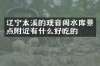 辽宁本溪的观音阁水库景点附近有什么好吃的