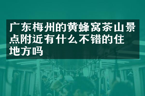广东梅州的黄蜂窝茶山景点附近有什么不错的住的地方吗