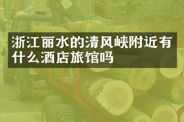 浙江丽水的清风峡附近有什么酒店旅馆吗