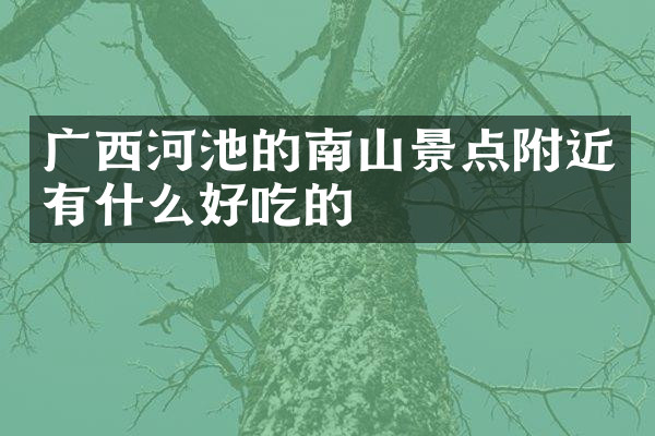 广西河池的南山景点附近有什么好吃的