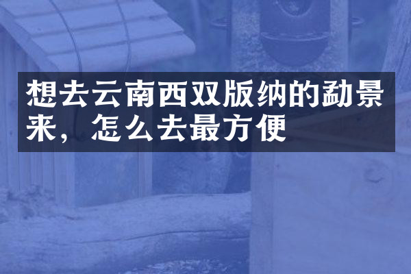 想去云南西双版纳的勐景来，怎么去最方便