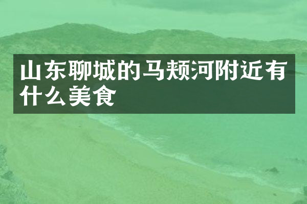 山东聊城的马颊河附近有什么美食
