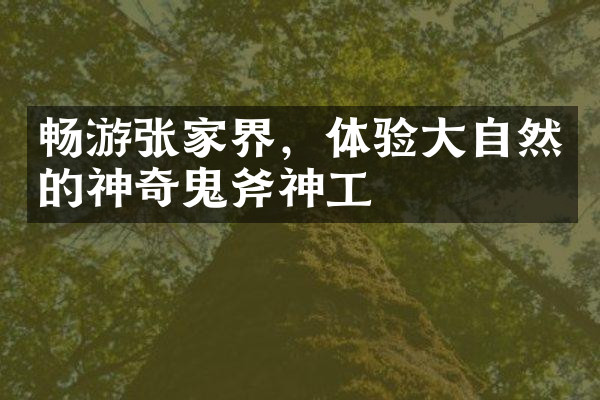 畅游张家界，体验大自然的神奇鬼斧神工