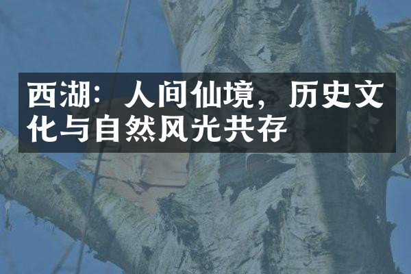 西湖：人间仙境，历史文化与自然风光共存