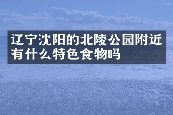 辽宁沈阳的北陵公园附近有什么特色食物吗