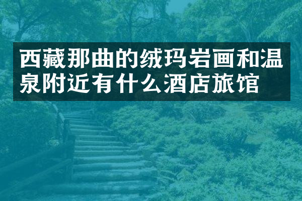 西藏那曲的绒玛岩画和温泉附近有什么酒店旅馆吗