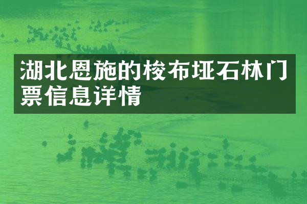 湖北恩施的梭布垭石林门票信息详情