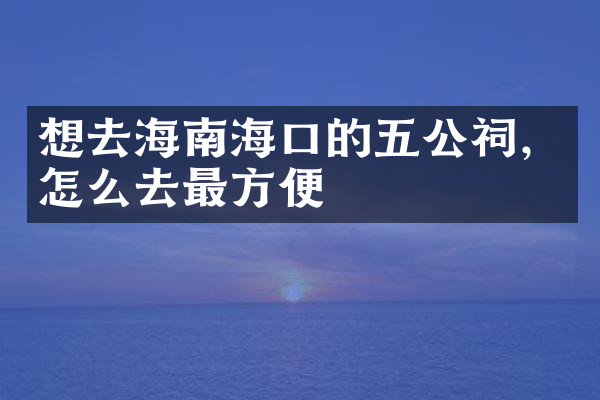 想去海南海口的五公祠，怎么去最方便