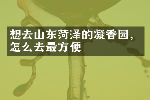 想去山东菏泽的凝香园，怎么去最方便