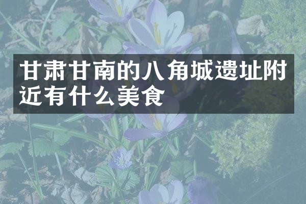 甘肃甘南的八角城遗址附近有什么美食