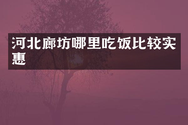 河北廊坊哪里吃饭比较实惠