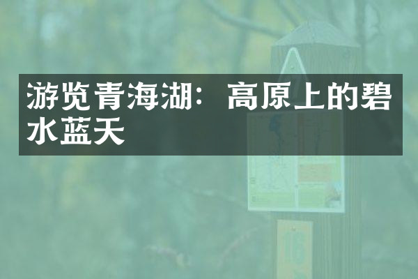 游览青海湖：高原上的碧水蓝天