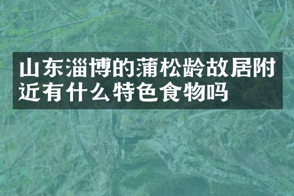 山东淄博的蒲松龄故居附近有什么特色食物吗