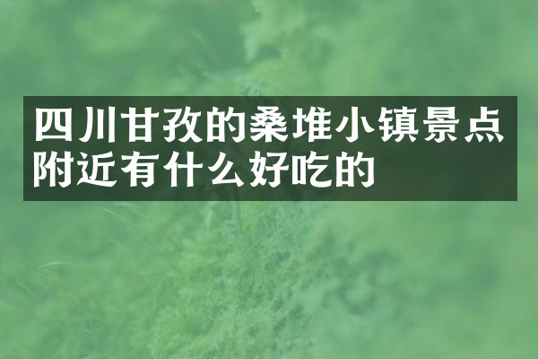 四川甘孜的桑堆小镇景点附近有什么好吃的