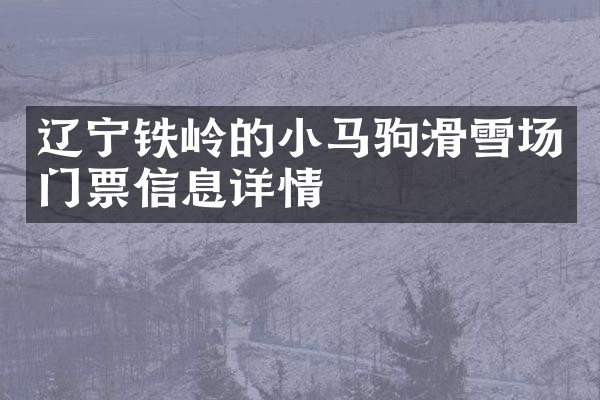 辽宁铁岭的小马驹滑雪场门票信息详情