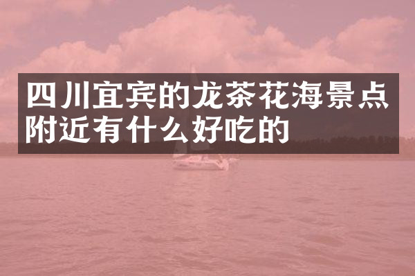 四川宜宾的龙茶花海景点附近有什么好吃的