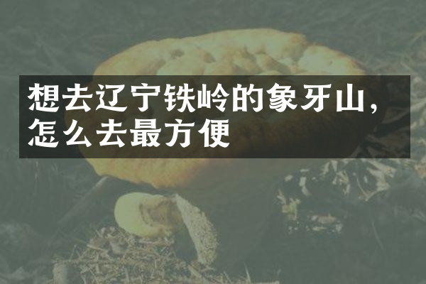 想去辽宁铁岭的象牙山，怎么去最方便