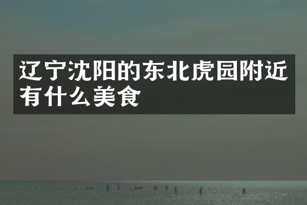 辽宁沈阳的东北虎园附近有什么美食