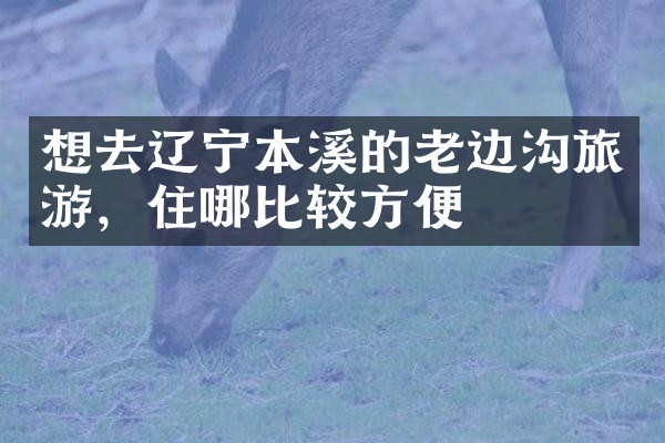 想去辽宁本溪的老边沟旅游，住哪比较方便