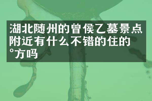 湖北随州的曾侯乙墓景点附近有什么不错的住的地方吗