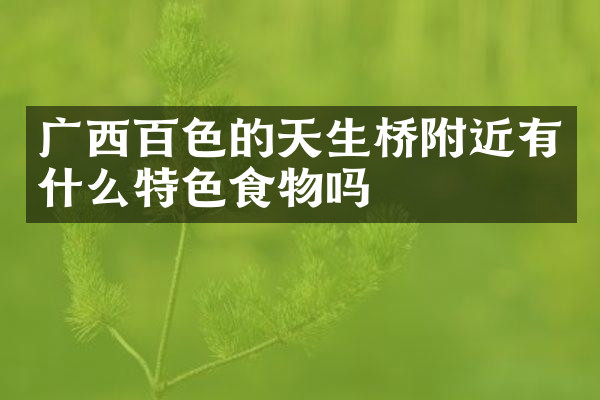 广西百色的天生桥附近有什么特色食物吗