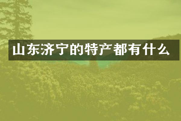 山东济宁的特产都有什么