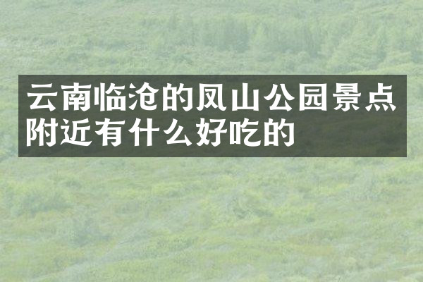 云南临沧的凤山公园景点附近有什么好吃的